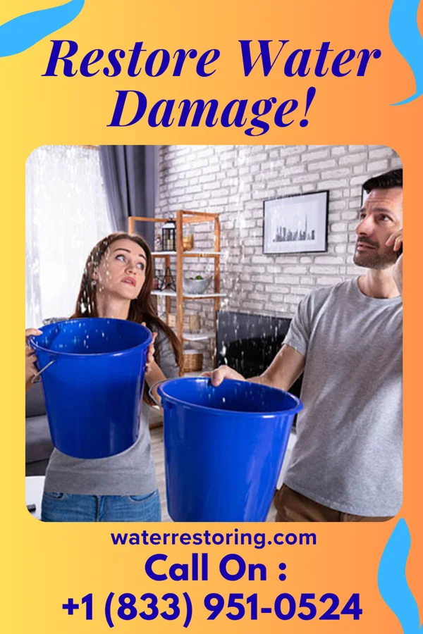 water restoration Pinnacle Flood Cleanup Co Franklin