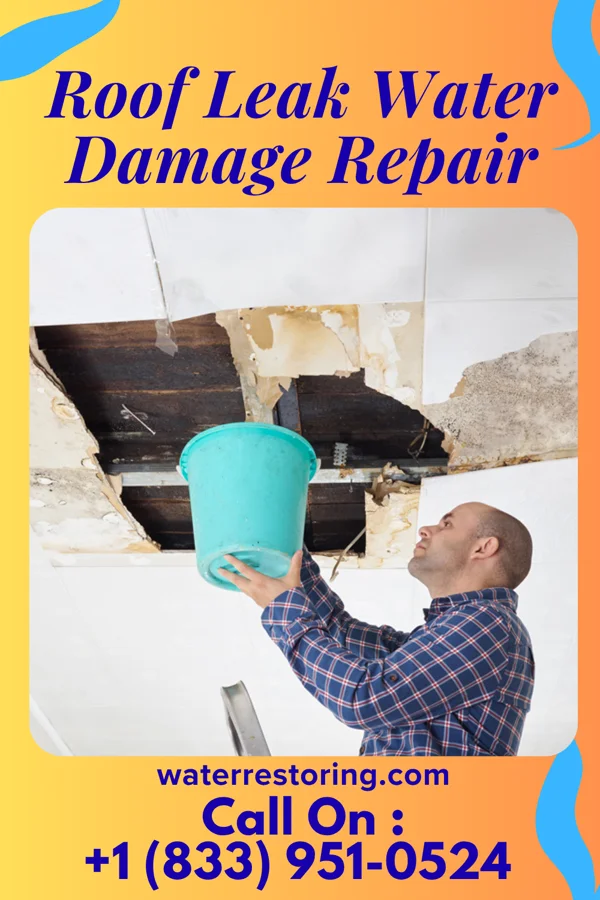 Roof Leak Water Damage Repair in Franklin, NE